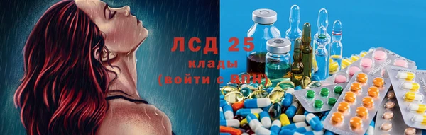 a pvp Новозыбков