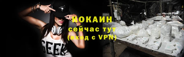 a pvp Новозыбков