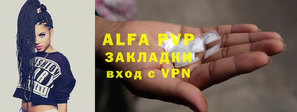 ешки Новодвинск