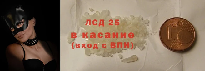 ешки Новодвинск