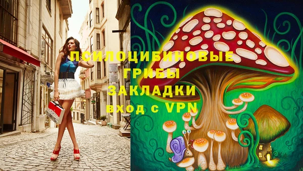ешки Новодвинск
