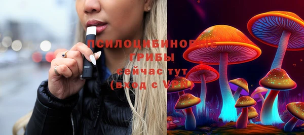 ешки Новодвинск